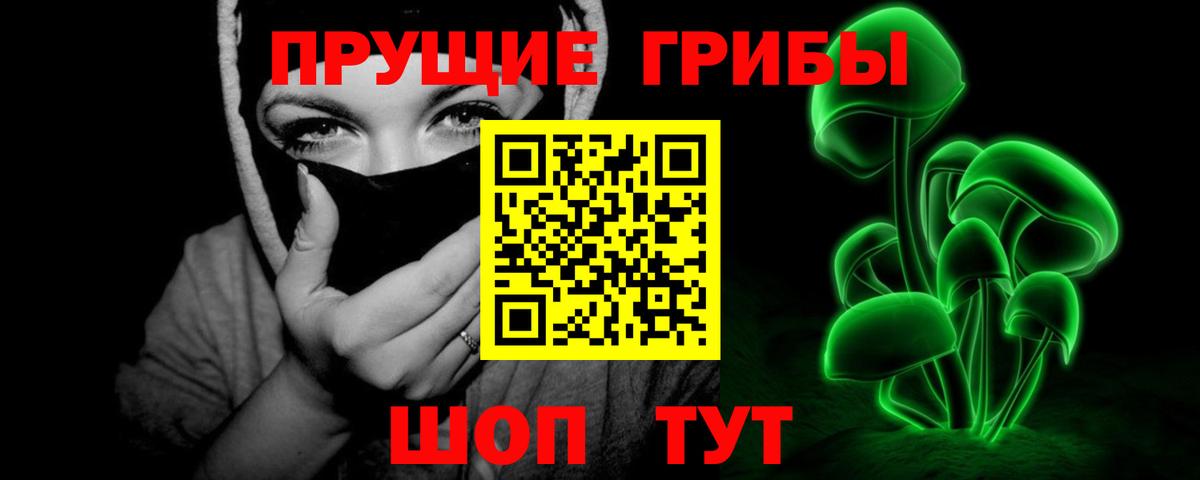 Псилоцибиновые грибы мицелий Мытищи